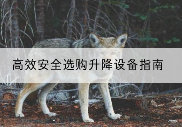 五家渠升降货梯厂家推荐-*安全选购升降设备指南