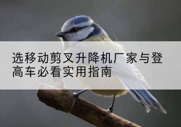 五家渠电动升降机厂家-选移动剪叉升降机厂家与登高车必看实用指南