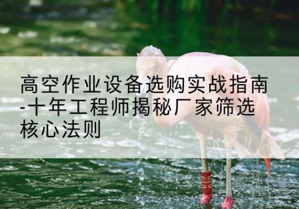 五家渠剪叉式升降机厂家-高空作业设备选购实战指南-十年工程师揭秘厂家筛选核心法则