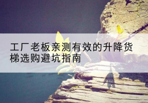 五家渠升降货梯怎么选-工厂老板亲测有效的升降货梯选购避坑指南